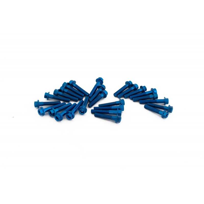Engine screw kit