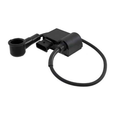 ignition cdi electronic control unit