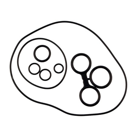 engine o-ring kit
