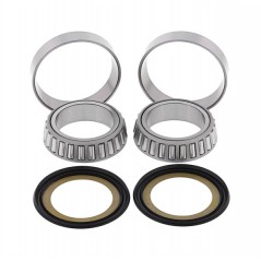 Kit, bearings and seals spine steering