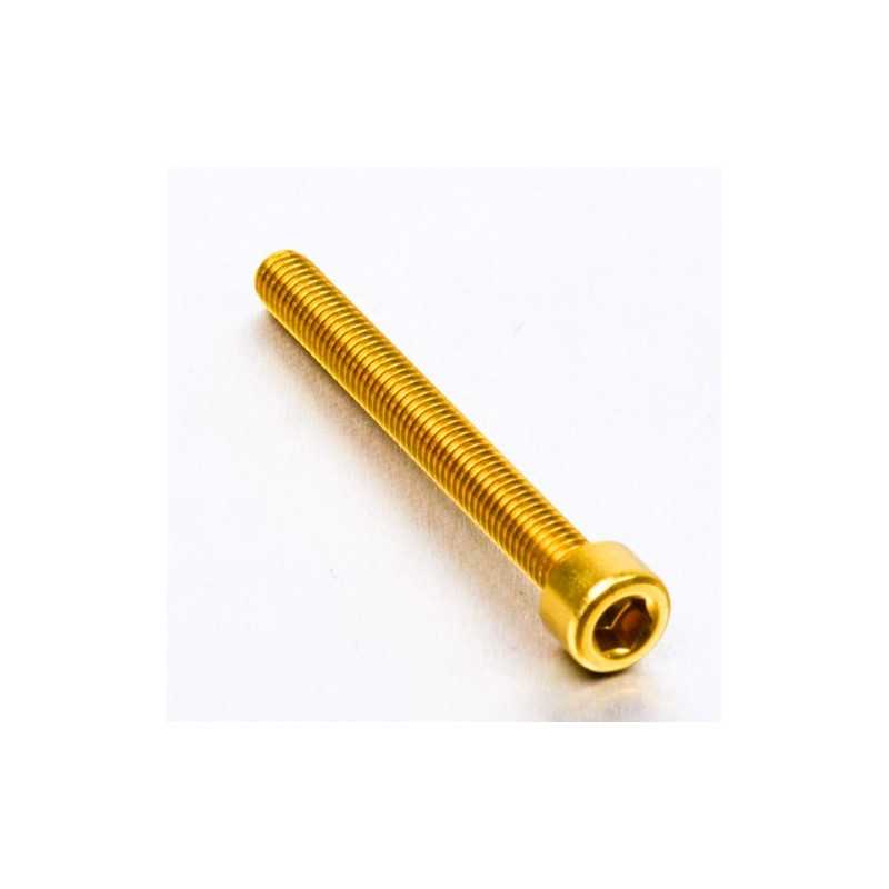 Cylindrical head aluminum screw  M6 x (1.00mm) x 55mm oro LPB655G