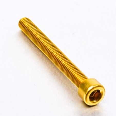Cylindrical head aluminum screw  M6 x (1.00mm) x 55mm oro LPB655G
