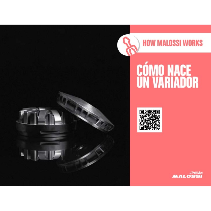MALOSSI Variator MULTIVAR 5116072
