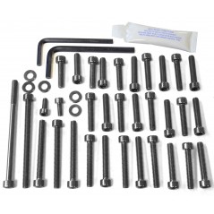 PRO-BOLT Tornillería cabeza allen tapa motor aluminio 42141VAR