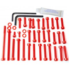 PRO-BOLT Tornillería cabeza allen tapa motor aluminio 42141VAR