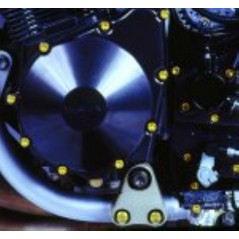 PRO-BOLT Tornillería cabeza allen tapa motor aluminio 42147VAR