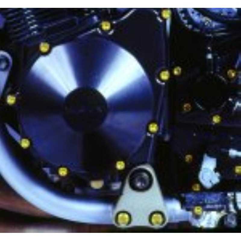 PRO-BOLT Tornillería cabeza allen tapa motor aluminio 42147VAR