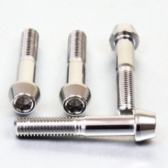 Screw tighten steel shaft  Inox Natural SSFAPINCH180