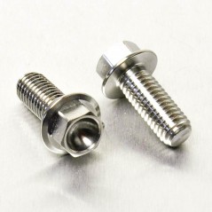 PRO-BOLT Kit tornillos pinza de freno trasera acero Inox NATURAL 42621