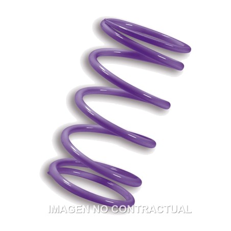 driven pulley spring violeta