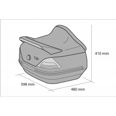 CUSTOM ACCES Baul trasero o maleta para moto con soporte tipo SM 25L MERCEDES MT0005
