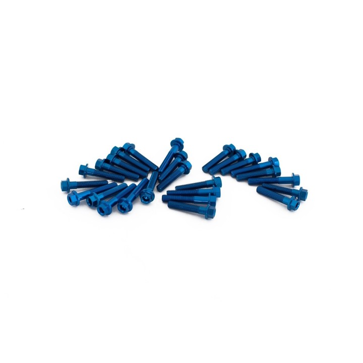 Engine screw kit
