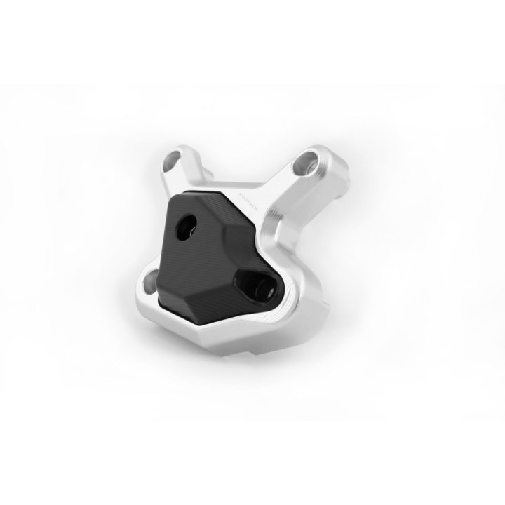 Right crankcase protector
