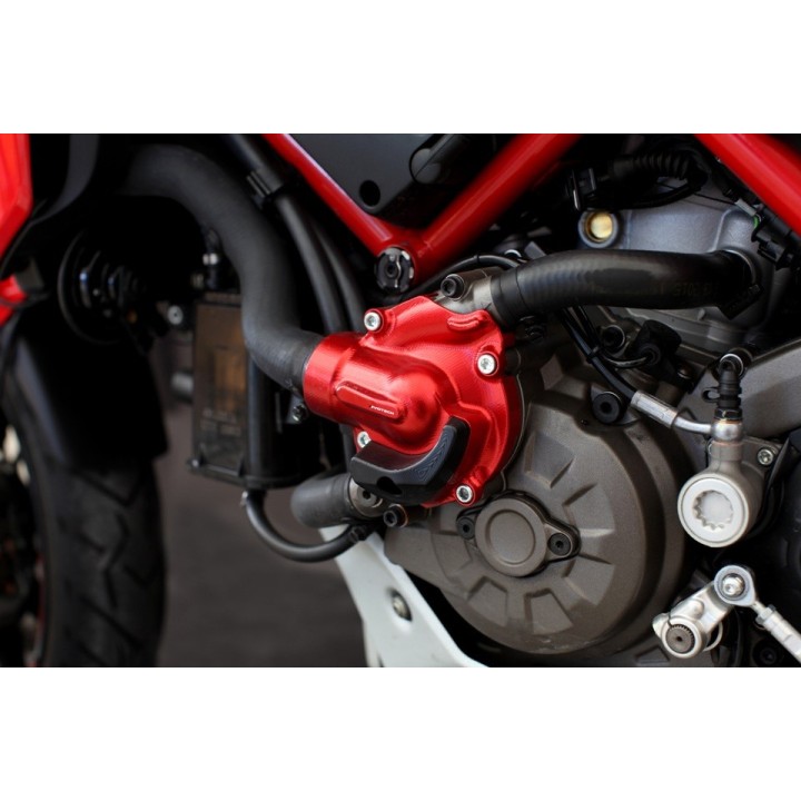 Water pump protector