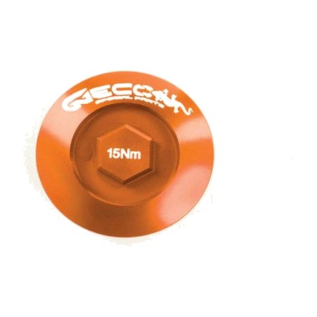 motorcycle engine plug