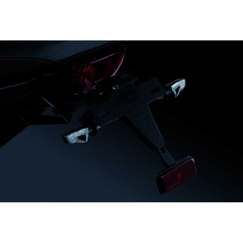 PLATE SUPPORT LICENSE HOLDER