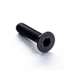 Countersunk aluminum screw  M6 x (1.00mm) x 25mm negro LCS625BK