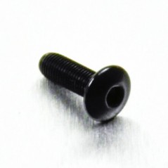 Round head aluminum screw  M4 x (0.5mm) x 12mm Fine negro L