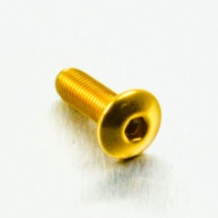 Round head aluminum screw  M4 x (0.5mm) x 12mm Fine oro LFB