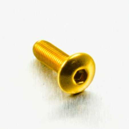 PRO-BOLT Tornillo de aluminio cabeza redondeada M4 x (0.5mm) 12mm Fine oro LFB 49794
