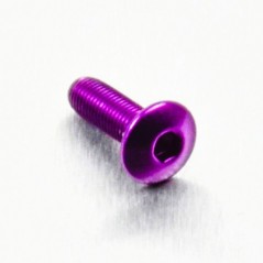 Round head aluminum screw  M4 x (0.5mm) x 12mm Fine violeta