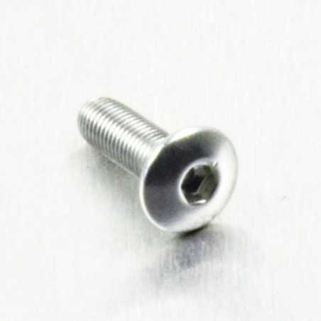 Round head aluminum screw  M4 x (0.5mm) x 12mm Fine plata L