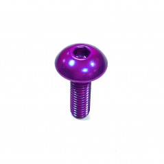 Round head aluminum screw  M5 x (0.8mm) x 16mm violeta LFB5