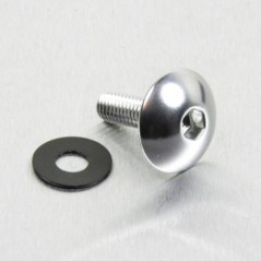 Aluminum screw xl head rounded  M5 x(0.8mm) x 16mm plata LFB5