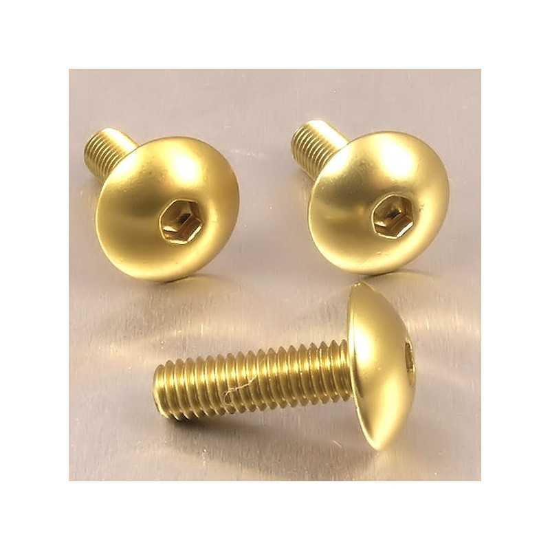 Round head aluminum screw  M6 x (1.00mm) x 20mm oro LFB620G