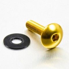 Round head aluminum screw  M6 x (1.00mm) x 25mm oro LFB625G