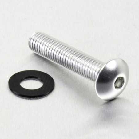 Round head aluminum screw  M8 x (1.25mm) x 40mm plata LFB84