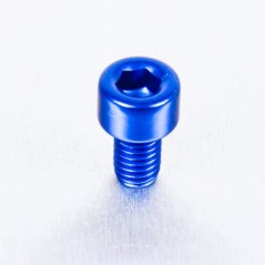 PRO-BOLT Tornillo de aluminio cabeza cilíndrica M5 x (0.8mm) 8mm azul LPB508B 49877