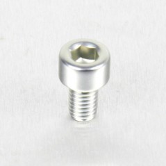 Cylindrical head aluminum screw  M5 x (0.8mm) x 8mm plata LPB508S