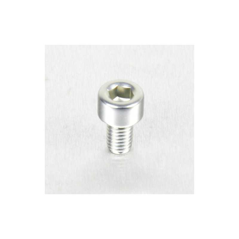 Cylindrical head aluminum screw  M5 x (0.8mm) x 8mm plata LPB508S