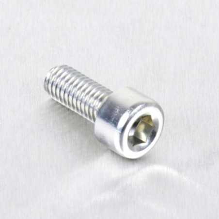 Cylindrical head aluminum screw  M5 x (0.8mm) x 12mm plata LPB512