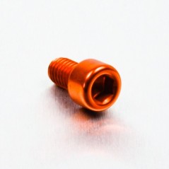 Cylindrical head aluminum screw  M6 x (1.00mm) x 10mm oro LPB610G