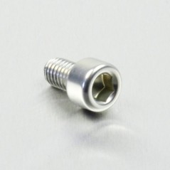 Cylindrical head aluminum screw  M6 x (1.00mm) x 10mm plata LPB61