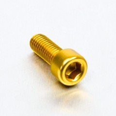 Cylindrical head aluminum screw  M6 x (1.00mm) x 16mm oro LPB616G