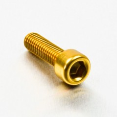 Cylindrical head aluminum screw  M6 x (1.00mm) x 20mm oro LPB620G