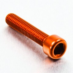 Cylindrical head aluminum screw  M6 x (1.00mm) x 30mm naranja LPB