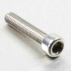 Cylindrical head aluminum screw  M6 x (1.00mm) x 30mm plata LPB63