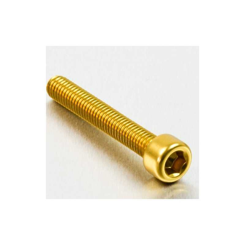 Cylindrical head aluminum screw  M6 x (1.00mm) x 40mm oro LPB640G