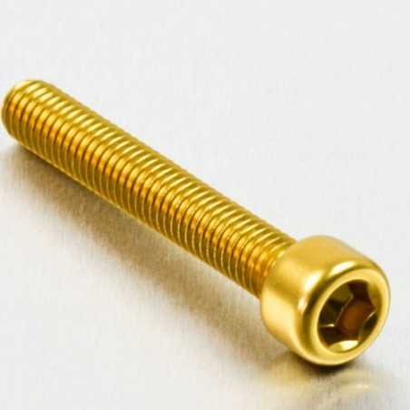 Cylindrical head aluminum screw  M6 x (1.00mm) x 40mm oro LPB640G