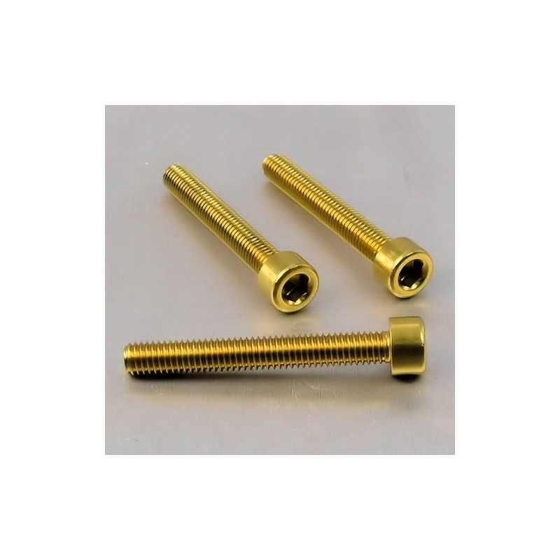 Cylindrical head aluminum screw  M6 x (1.00mm) x 45mm oro LPB645G