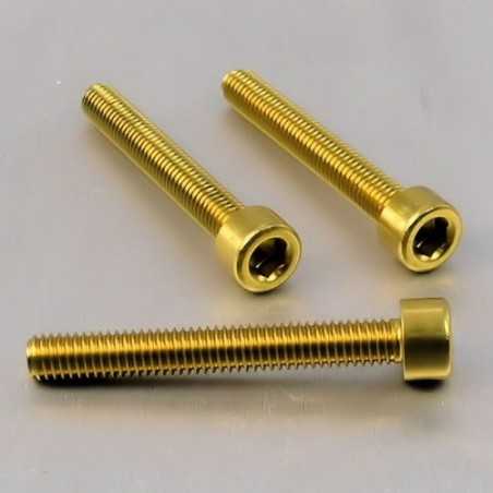 Cylindrical head aluminum screw  M6 x (1.00mm) x 45mm oro LPB645G