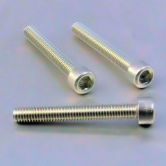 Cylindrical head aluminum screw  M6 x (1.00mm) x 45mm plata LPB64
