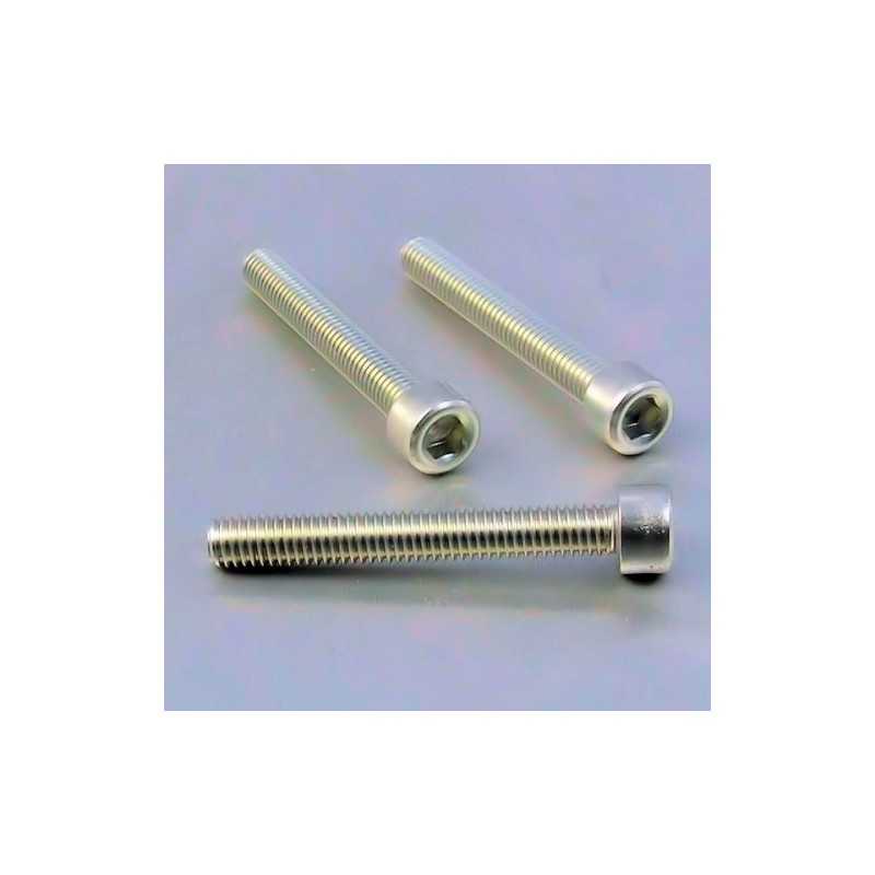Cylindrical head aluminum screw  M6 x (1.00mm) x 45mm plata LPB64