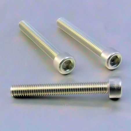 PRO-BOLT Tornillo de aluminio cabeza cilíndrica M6 x (1.00mm) 45mm plata LPB64 49989