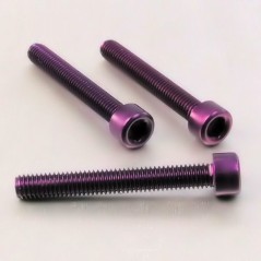 PRO-BOLT Tornillo de aluminio cabeza cilíndrica M6 x (1.00mm) 50mm violeta LPB 49992