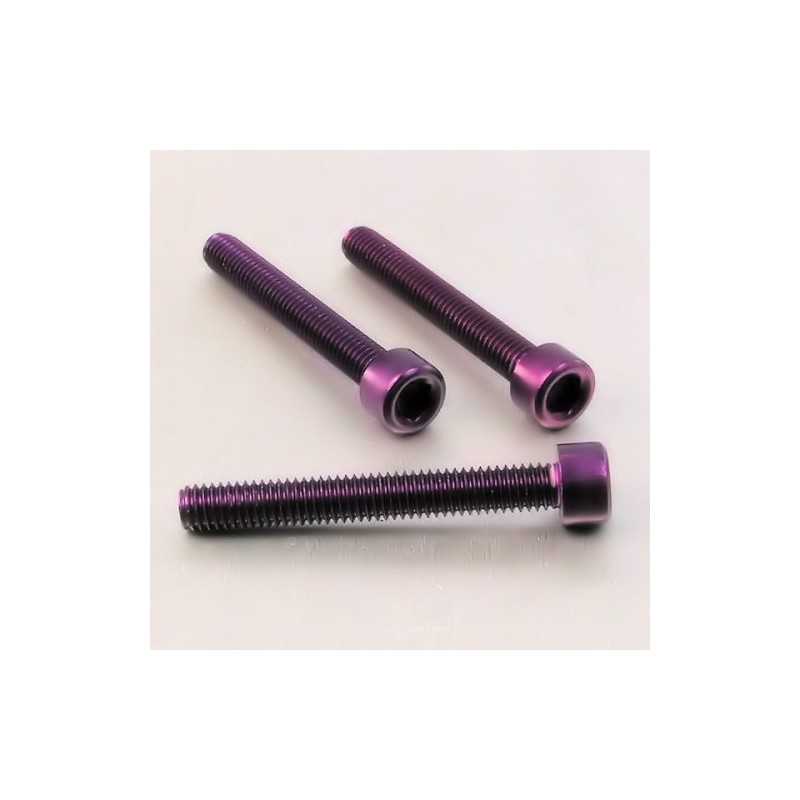 PRO-BOLT Tornillo de aluminio cabeza cilíndrica M6 x (1.00mm) 50mm violeta LPB 49992